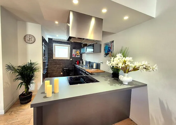 La Maison Des Iris - Clim - Patio - Parking *